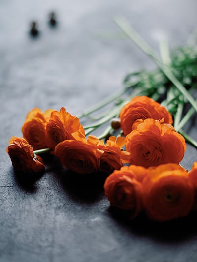 Flower Shop 60