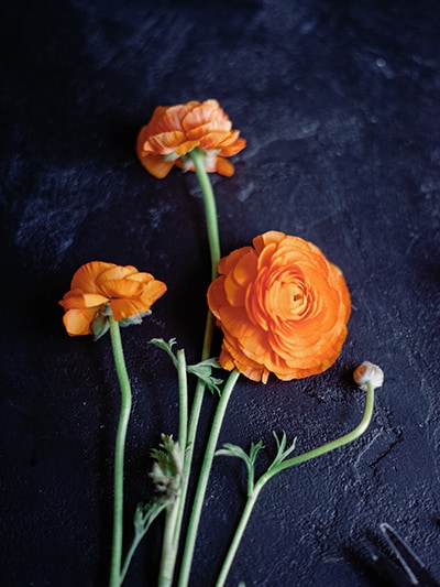 Flower Shop 61